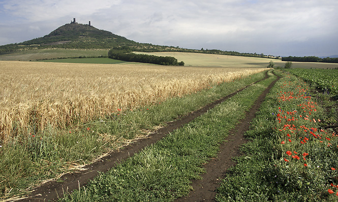 Way to "Hzmburk" - smaller format