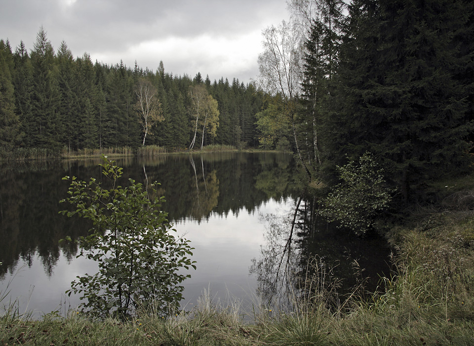 Mal Jedlovsk rybnk - vt formt