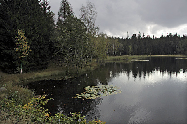 Velk Jedlovsk rybnk - men formt