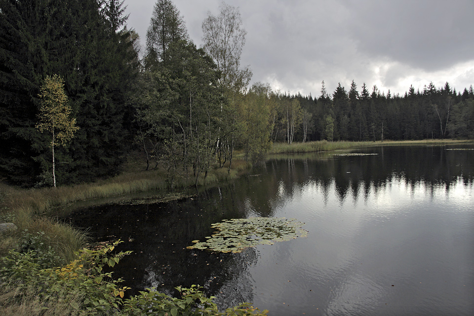 Velk Jedlovsk rybnk - vt formt