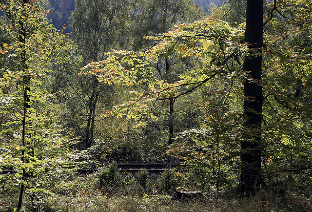 At the railway - smaller format