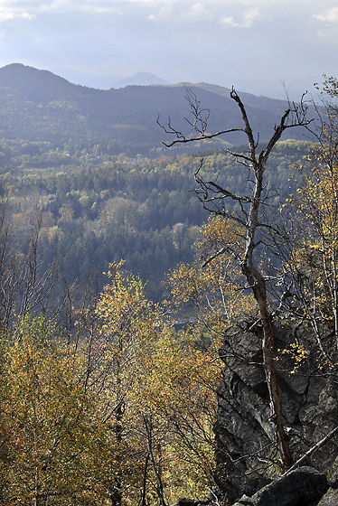 On the "Little Stack" - smaller format