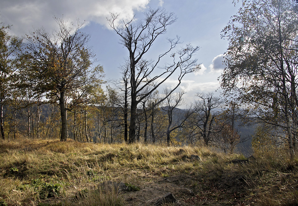 Na Malm Stoci - vt formt