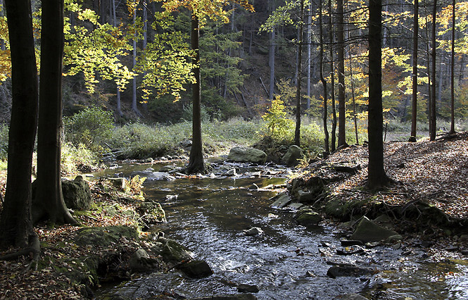 On the "Hamer Creek" - smaller format