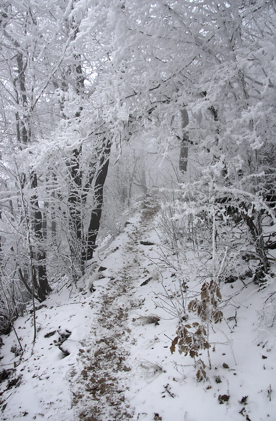 On the upway - larger format