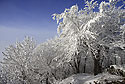 On "Mileovka" - main link