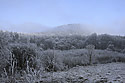 "Mileovka" - main link