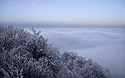 Evening on "Mileovka" - main link