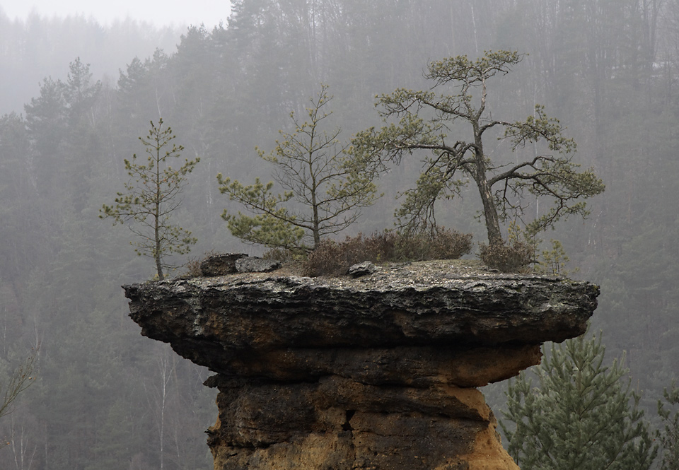 Garden on the rock - larger format