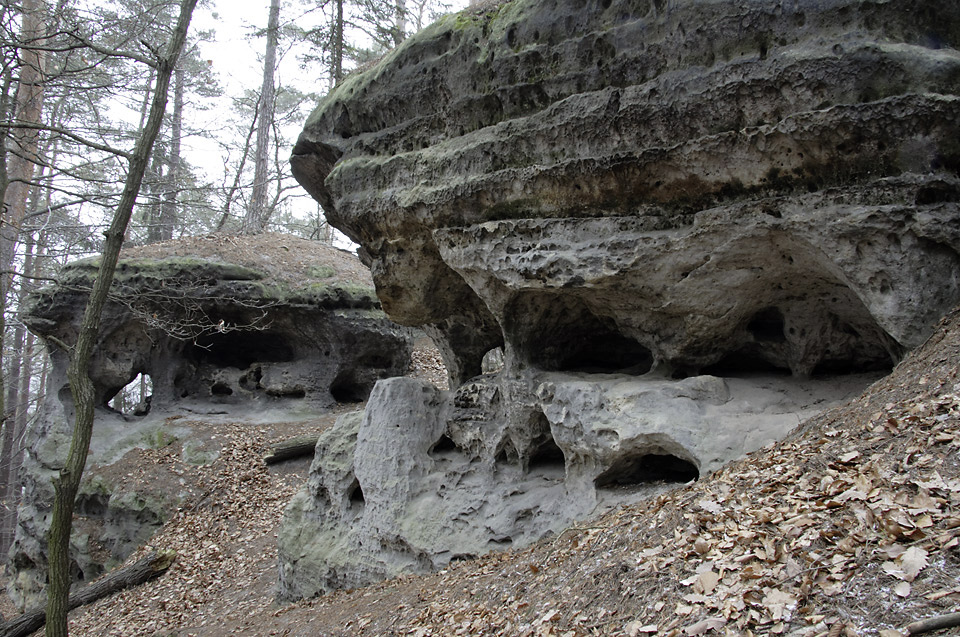 Near the "Rocky Lids" - larger format