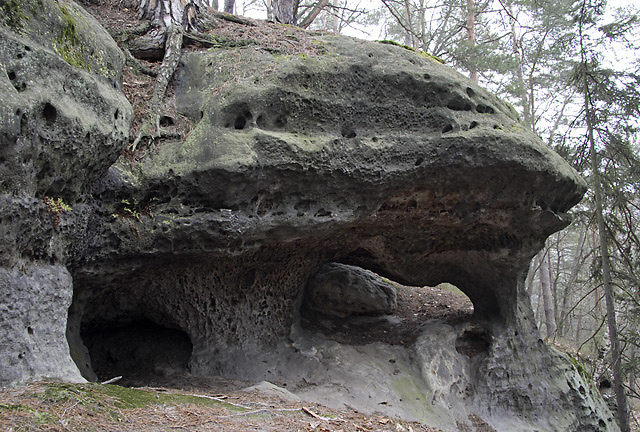 Near the "Rocky Lids" - smaller format