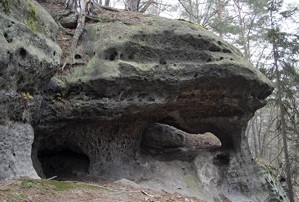 Near the "Rocky Lids" - larger format