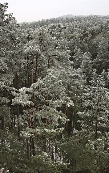 Above the "Mosquito Gorge" - smaller format