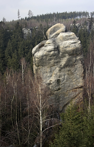 Poprav kmen - men formt