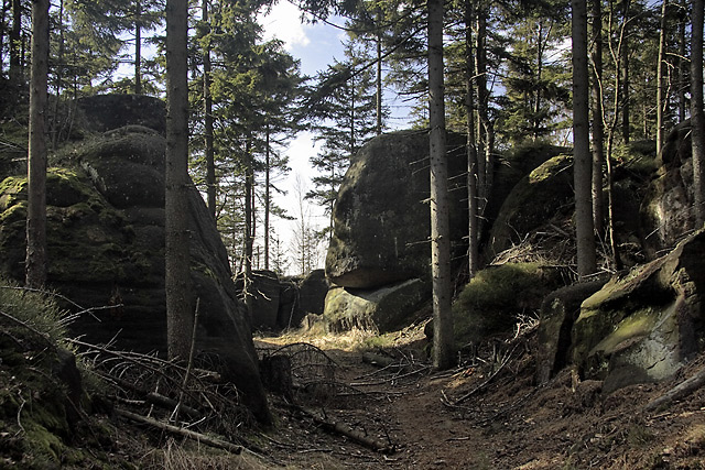 Ve skalch - men formt