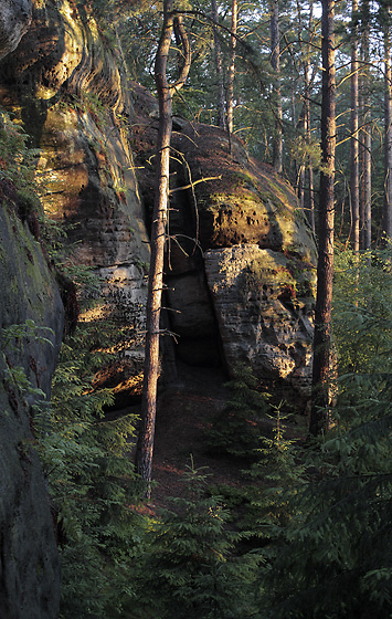 Morning on Rover Mts. - smaller format