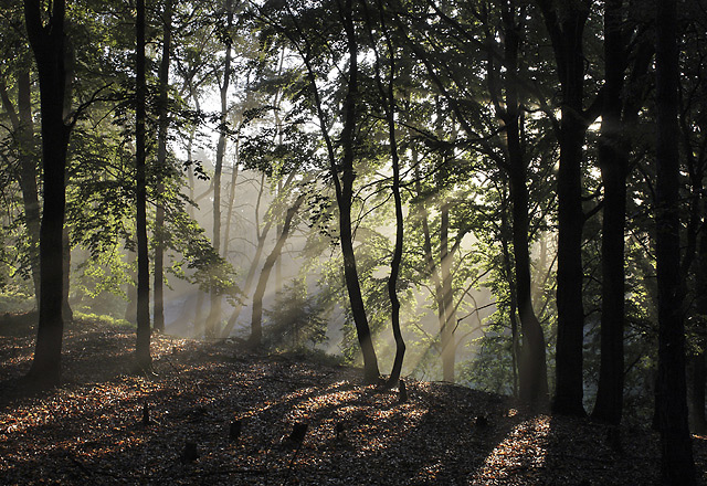 Morning on Rover Mts. - smaller format