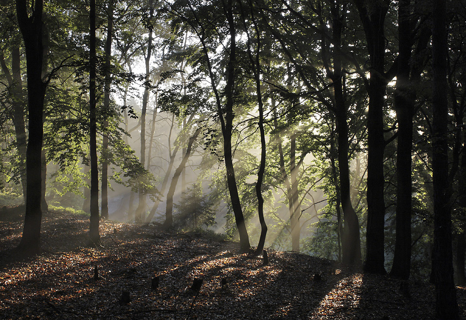 Morning on Rover Mts. - larger format