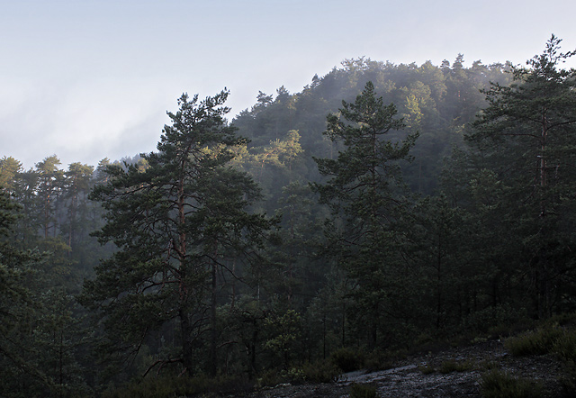 Morning on Rover Mts. - smaller format