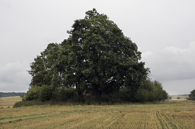 Blocksberg - men formt