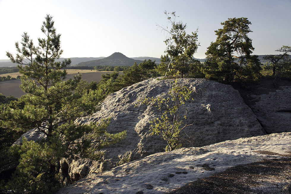 On the "Silver Hill" - larger format