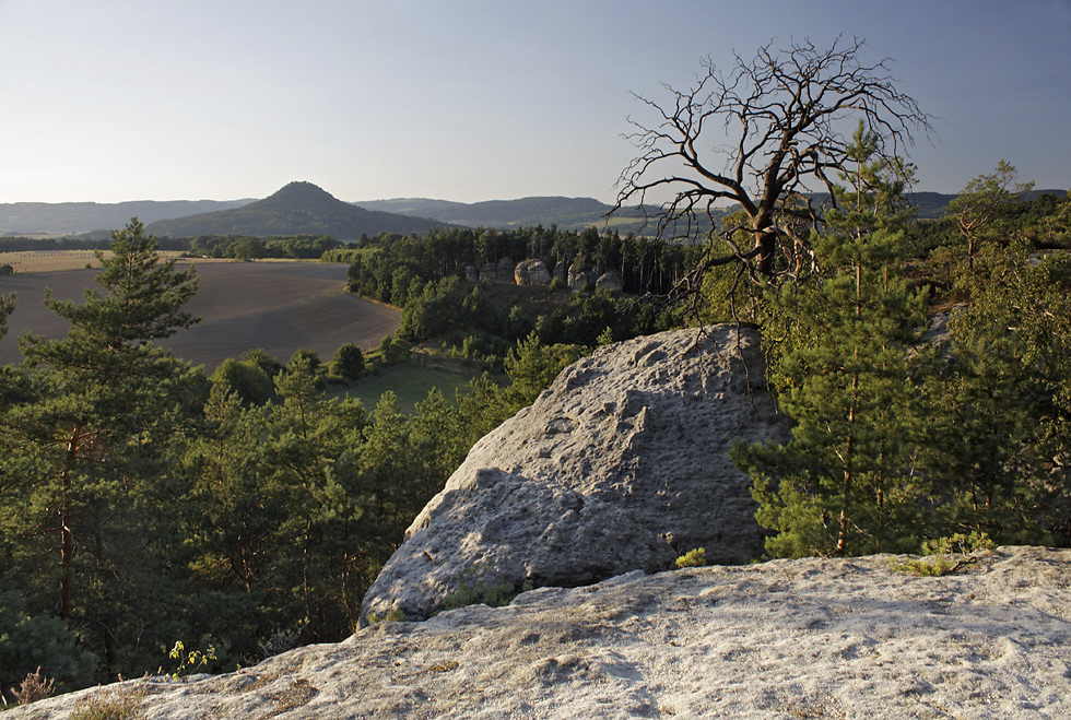 On the "Silver Hill" - larger format