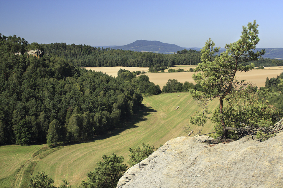 "Saddle Hill" - larger format