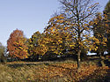 Morning at the "Polevsko Hill" - main link