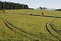 Morning at the "Polevsko Hill" - main link