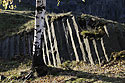 "Stone Organ" - main link
