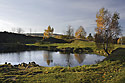 Pond - main link