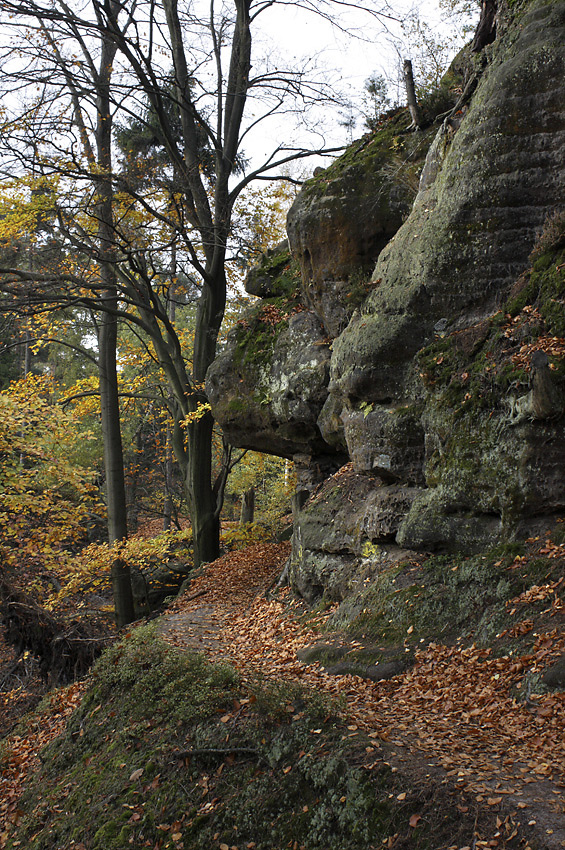 Cesta ve skalch - vt formt