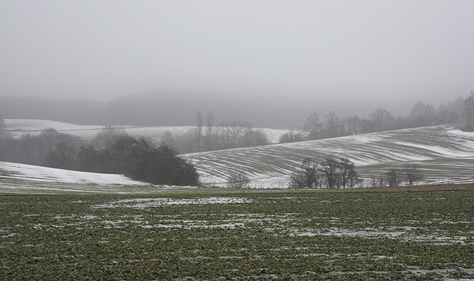 Foggy "Rover Hills" - smaller format