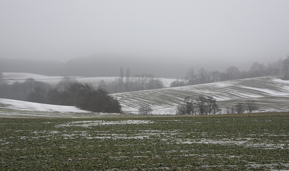 Foggy "Rover Hills" - larger format