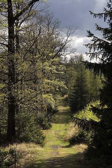 On the "Kitchenette" hill - smaller format