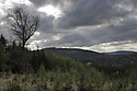 View to the "Sand hill" and the "Bald hill" - main link