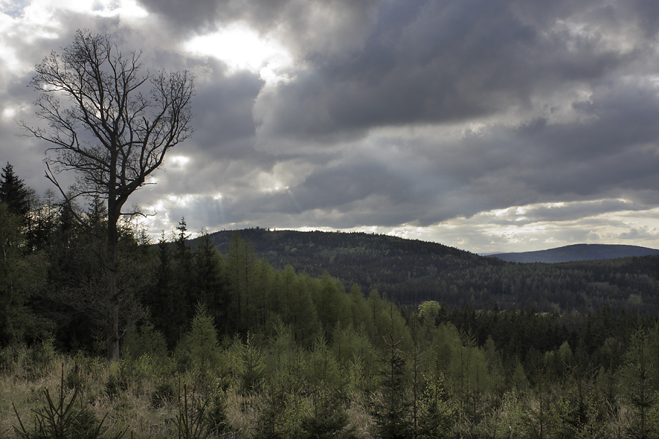 View to the "Sand hill" and the "Bald hill" - larger format