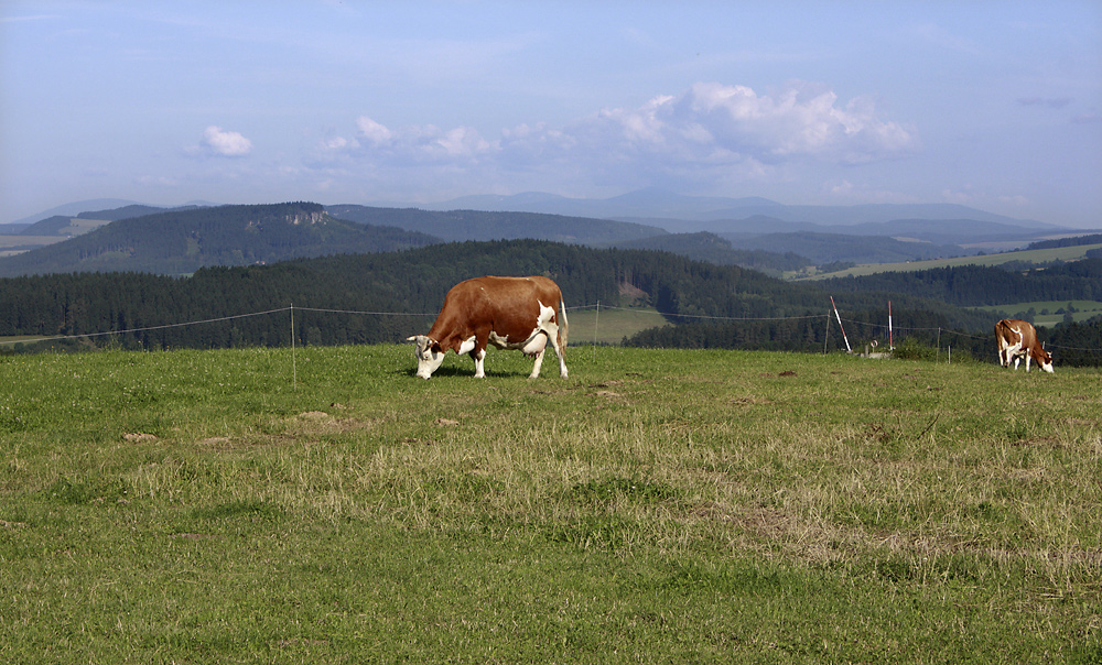 Idyla nad Slavnm - vt formt