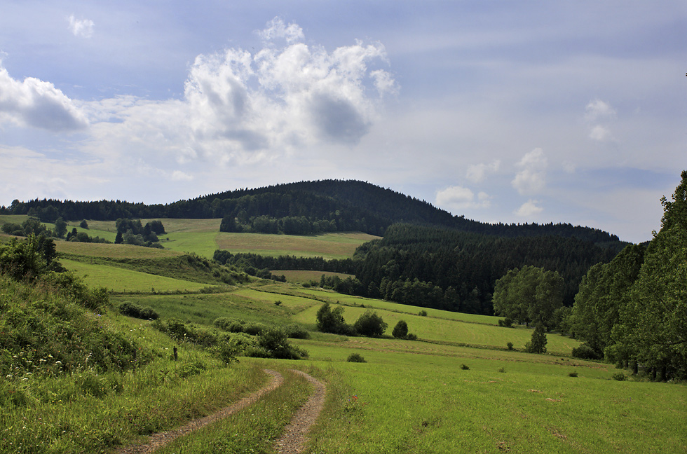 Grodziec - vt formt