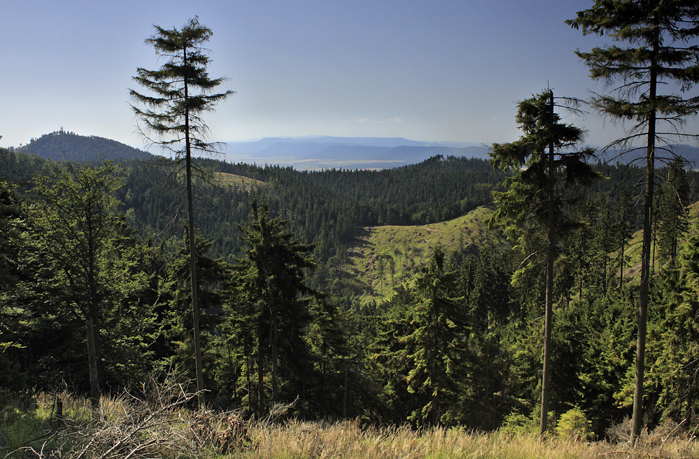 View to "Broumov Cliffs" - larger format