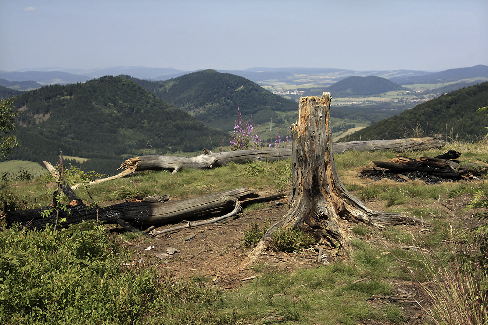 On "Kostrzyna" - larger format