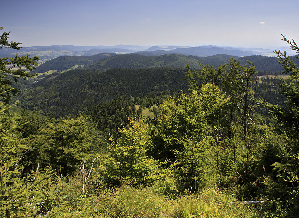 Vistas from "Waligra" - larger format