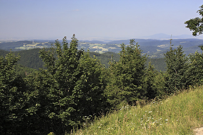 View to north-east - smaller format