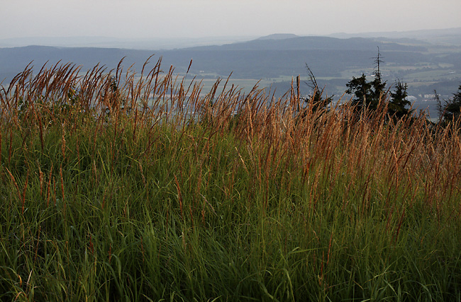 Evening on "Ruprechtice Hill" - smaller format