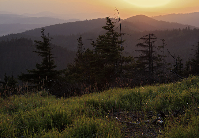 Evening on "Ruprechtice Hill" - smaller format