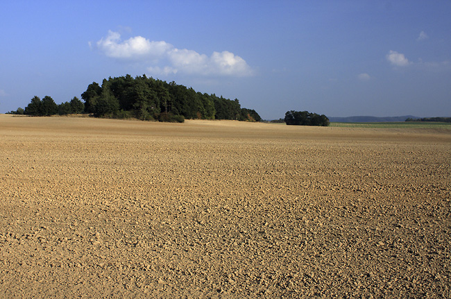 Near "Domaice" - smaller format