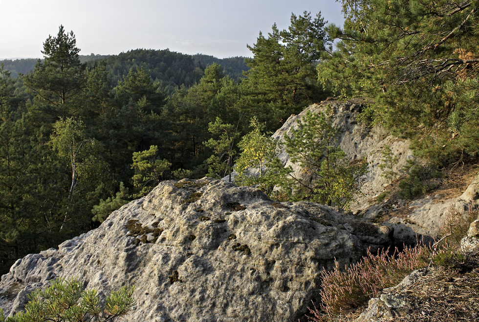 On the "Horse Hill" - larger format