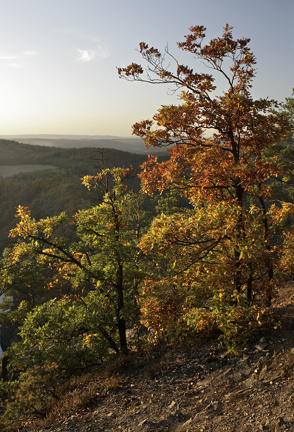 Podzim nad Vltavou - větší formát