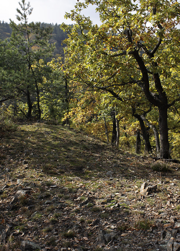 Autumn on the "Little Beldam Hill" - larger format