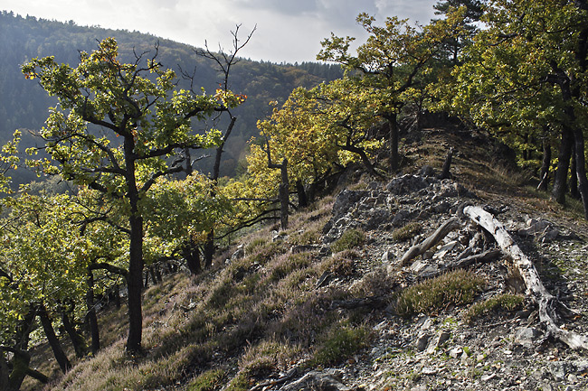 Autumn on the "Little Beldam Hill" - smaller format